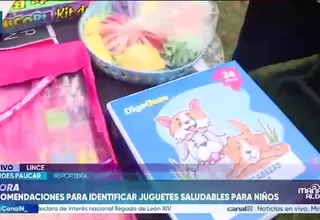 Minsa advierte sobre juguetes tóxicos y brinda recomendaciones para realizar compras seguras
