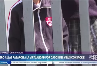 Minsa confirma incremento de casos de virus Coxsackie en Lima