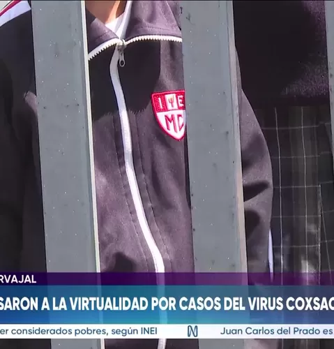 Minsa confirma incremento de casos de virus Coxsackie en Lima