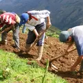 Mirtha Vásquez: La segunda reforma agraria no implica la expropiación de tierras