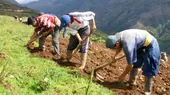 Mirtha Vásquez: "La segunda reforma agraria no implica la expropiación de tierras" - Noticias de cuestion-confianza