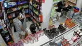 La Molina: Cámaras captaron a tenderos robando en minimarket - Noticias de tenderas