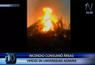 La Molina: incendio consumió áreas verdes de la Universidad Agraria