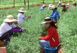 Las mujeres de América Latina son cada vez más pobres, advierte la FAO