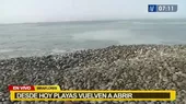 Municipalidad de Miraflores anunció reapertura de playas desde hoy martes - Noticias de anuncios