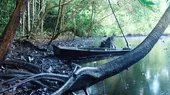 ONU llamó la atención al Perú por no limpiar Amazonía contaminada con petróleo - Noticias de amazonia