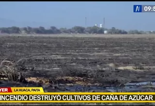 Paita: Incendio destruyó cultivos de caña de azúcar  