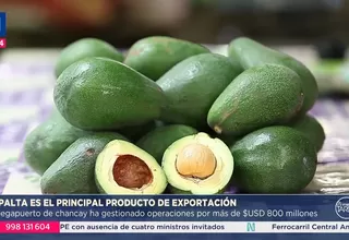 La palta lidera exportaciones desde el Puerto de Chancay