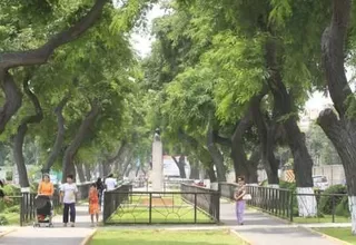 Patricia Juárez aseguró que no retirarán ningún árbol de la Av. Salaverry