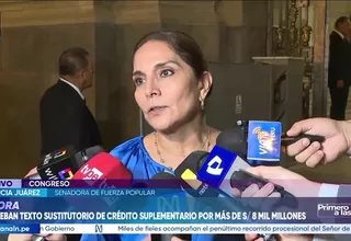Patricia Juárez: “Este crédito suplementario es para utilizarlo durante este año”