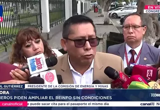 Paul Gutiérrez: Minería informal debe tener control ambiental