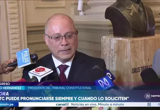 Pedro Hernández: Tribunal Constitucional no puede intervenir de oficio en controversia por facultades legislativas