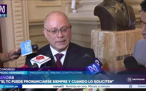 Pedro Hernández: Tribunal Constitucional no puede intervenir de oficio en controversia por facultades legislativas