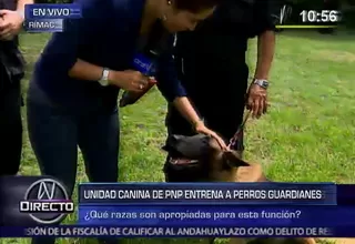Perros guardianes: PNP recomienda las mejores razas para esta función