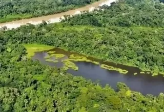 Perú perdió 3,2 millones de hectáreas de bosques en 23 años