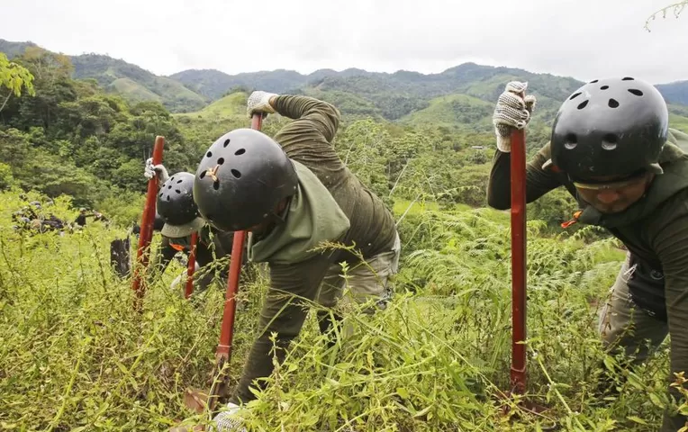 Perú planea erradicar 18 000 hectáreas de cultivos de coca el próximo año Perú planea erradicar 18 000 hectáreas de cultivos de coca el próximo año