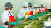 Perú es el principal productor de quinua, espárragos y maca en el mundo - Noticias de quinua