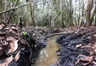 PetroPerú denunció nuevo atentado contra el Oleoducto Nor Peruano