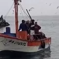 Pisco: joven pescador desaparece cuando realizaba labores de extracción