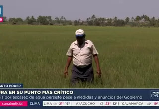 Piura en su punto más crítico por la falta de agua