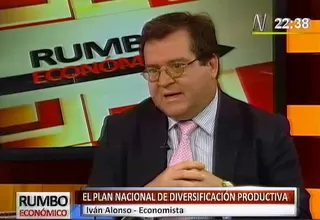 Plan de Diversificación Productiva sería innecesario e incluso antiproducente