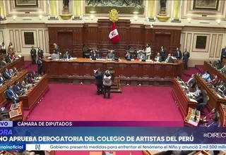 Pleno de la Cámara de Diputados aprueba derogar la ley que creó el Colegio Profesional de Artistas del Perú