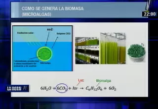 Presentan proyecto para obtener cemento ecológico