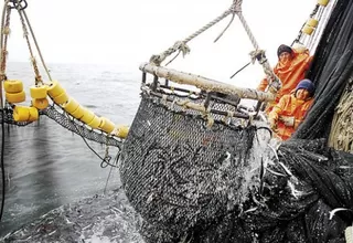 Es posible que no haya segunda temporada de pesca de anchoveta, según Produce