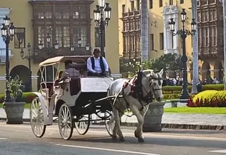 Prolima: implementarán carruajes turísticos antes de fin de año