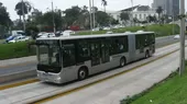 ProTransporte asegura que se aumentó número de buses del Metropolitano - Noticias de elefante-marino