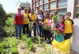 Qali Warma incluyó frutas y verduras en los desayunos de más de 2000 niños