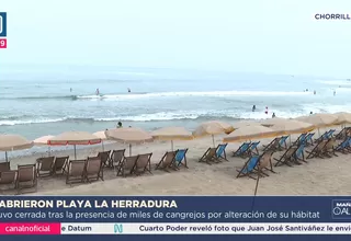 Reabren acceso al público a playa La Herradura en Chorrillos