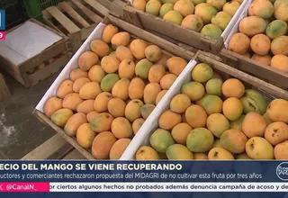 Productores de mango rechazan propuesta del Midagri de suspender cosecha por tres años