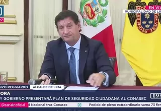 Reggiardo cuestiona plan de seguridad del Gobierno: Contiene “generalidades”