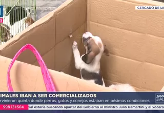 Rescatan mascotas en operativo contra tráfico de animales