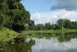 Reserva del Pacaya Samiria entre los '10 Mejores lugares para la vida silvestre'