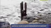 Un millón de dólares costará limpiar Playa Barranco de restos metálicos  - Noticias de metales