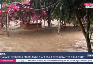 Cañete: Río Mala se desborda y afecta a restaurantes y cultivos