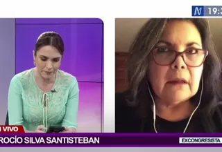 Silva Santisteban: "Sin duda la denuncia contra Castillo es muy seria"