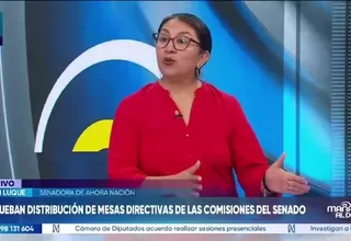 Ruth Luque cuestiona que Fuerza Popular presida Constitución y Control Político del Senado