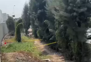 San Borja: Encuentran cuerpo que habría sido abandonado varios días debajo del puente Derby 