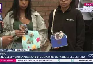 San Isidro: Investigan envenenamiento de perros en vía pública