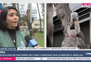 San Isidro multa a quienes alimenten ardillas en sus parques