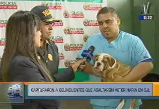 SJL: atrapan a delincuentes que robaron veterinaria