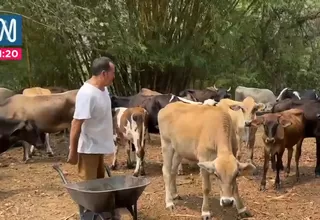 San Martín: Ganaderos desesperados por falta de agua