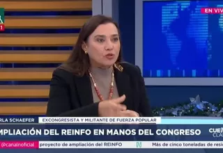 Karla Schaefer asegura que en Fuerza Popular no hay candidatos de minería informal