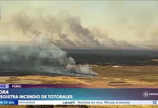 Se registra incendio de totorales en las islas de los Uros en Puno