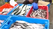 Semana Santa: se reportan largas colas en los terminales para conseguir pescado - Noticias de semana-representacion