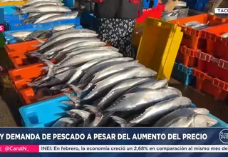 Semana Santa: Suben los precios del pescado en terminales