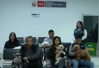 Senasa informa sobre requisitos y procesos para viajar con mascotas al exterior